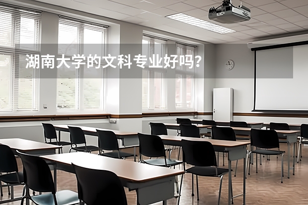 湖南大学的文科专业好吗？