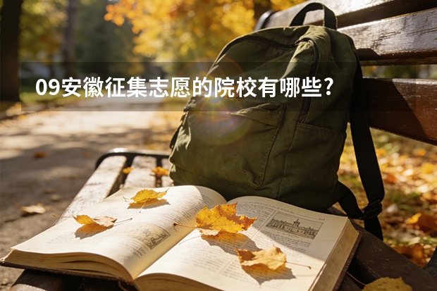 09安徽征集志愿的院校有哪些?