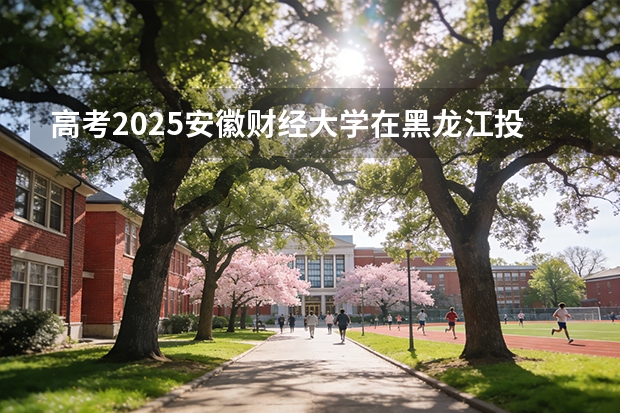 高考2025安徽财经大学在黑龙江投档分数线（2026参考）