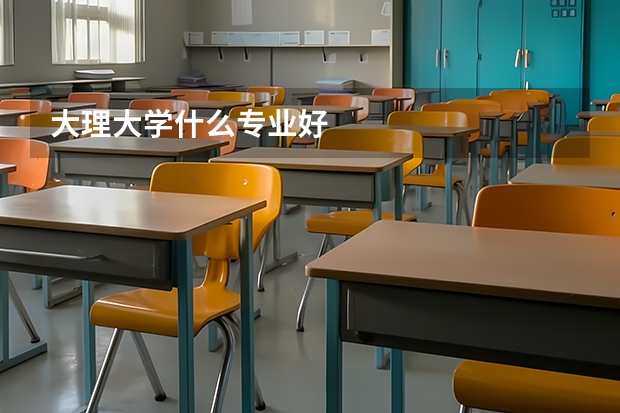 大理大学什么专业好