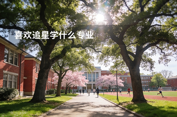 喜欢追星学什么专业
