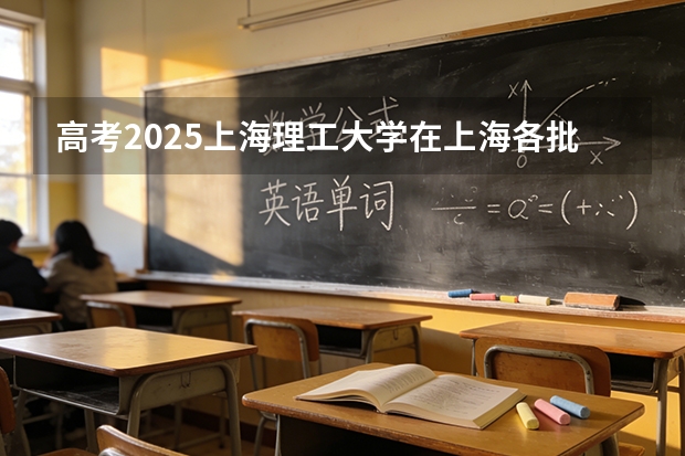 高考2025上海理工大学在上海各批次选科要求（2026参考）