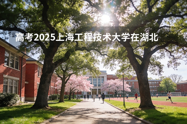 高考2025上海工程技术大学在湖北各批次选科要求（2026参考）