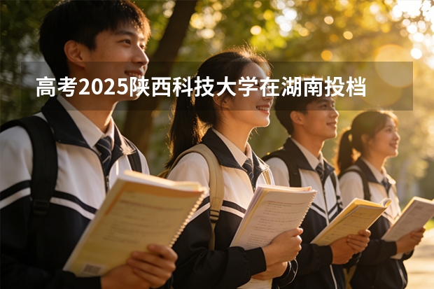 高考2025陕西科技大学在湖南投档分数线（2026参考）