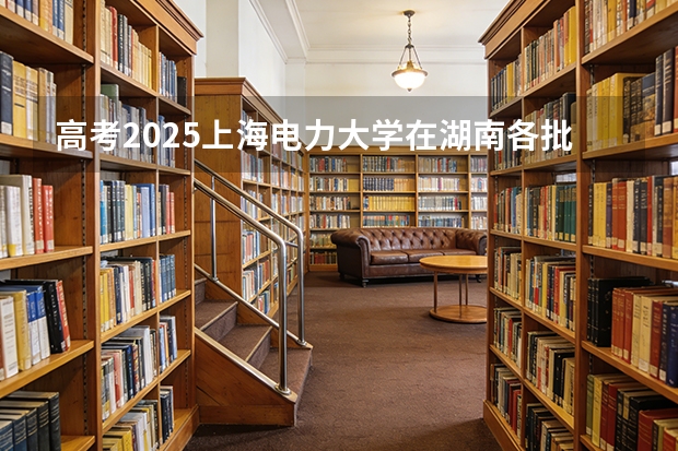高考2025上海电力大学在湖南各批次选科要求（2026参考）