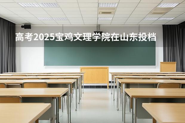 高考2025宝鸡文理学院在山东投档分数线（2026参考）