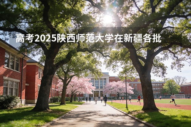 高考2025陕西师范大学在新疆各批次选科要求（2026参考）