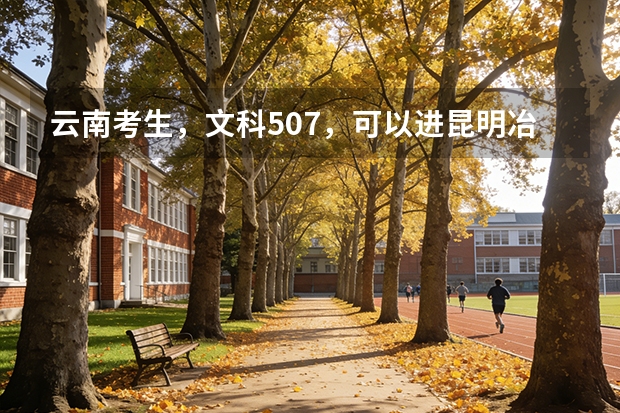 云南考生，文科507，可以进昆明冶金吗？