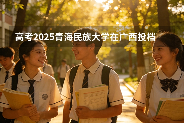 高考2025青海民族大学在广西投档分数线（2026参考）