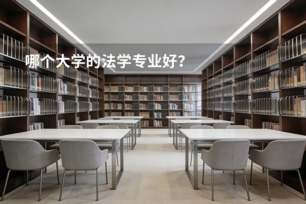 哪个大学的法学专业好？