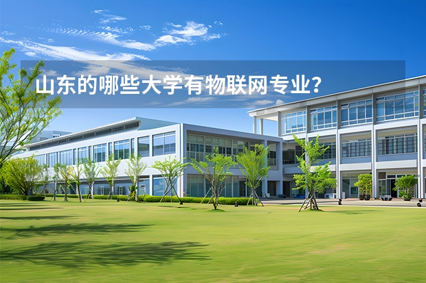山东的哪些大学有物联网专业？