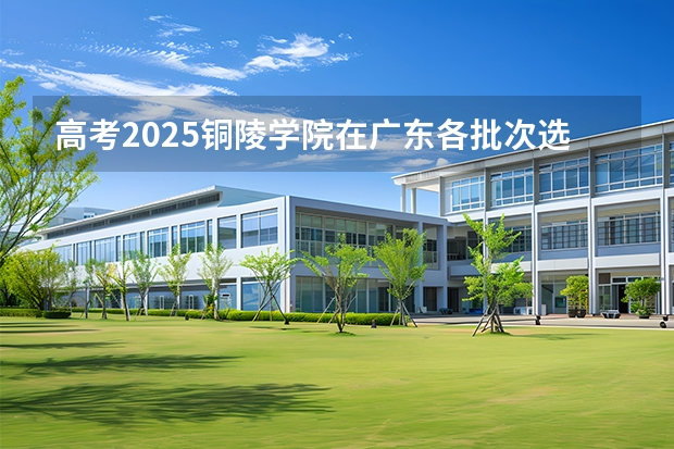 高考2025铜陵学院在广东各批次选科要求（2026参考）