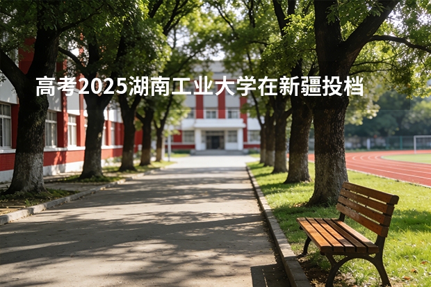 高考2025湖南工业大学在新疆投档分数线（2026参考）