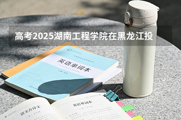高考2025湖南工程学院在黑龙江投档分数线（2026参考）